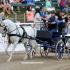 Carriage Barrel Racing